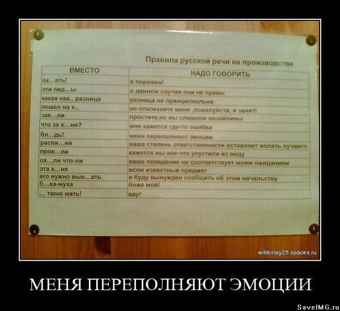Опубликованное фото